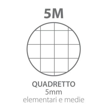 Blasetti - Quaderno Spiralato con fori A5 rigatura 5M copertina in PPL colorata 70 fogli Colori Assortiti (6521)