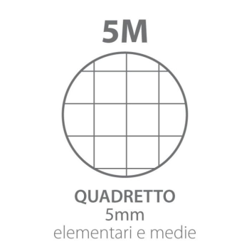 Blasetti - Ricambi Rinforzati A4 80 Gr 40fg rigatura 5M (2334)