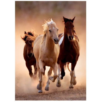 Clementoni - puzzle collection Animali – "Running Horses”– 1000 pezzi, puzzle adulti