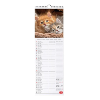 Legami - Calendario da Parete 2026 - 16 x 49 cm Kittens (CAL260059)