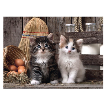 Clementoni - puzzle collection Animali – "Lovely kittens”– 1000 pezzi, puzzle adulti