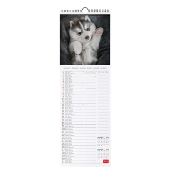 Legami - Calendario da Parete 2026 - 16 x 49 cm- Puppies (CAL260058)