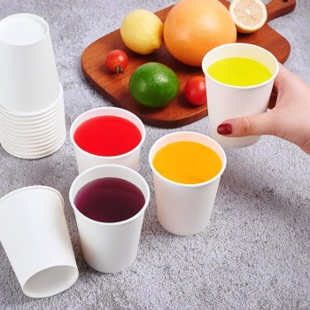 CARTOSPEDÌA - 1000 Bicchieri Carta Da 240 ml, Biodegradabili e Compostabili, Usa e Getta, Monouso, Ecologici